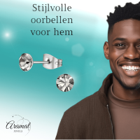 Stalen Kristal Oorbellen met Black Diamond steentje &acirc;&euro;&ldquo; Zilverkleur &acirc;&euro;&l