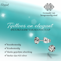 Stalen Kristal Oorbellen met Black Diamond steentje &acirc;&euro;&ldquo; Zilverkleur &acirc;&euro;&l