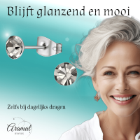 Stalen Kristal Oorbellen met Black Diamond steentje &acirc;&euro;&ldquo; Zilverkleur &acirc;&euro;&l