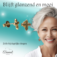 Stalen Oorbellen kruisje &acirc;&euro;&ldquo; Goudkleur &acirc;&euro;&ldquo; 8x7mm -