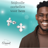 Stalen Oorbellen met kruisje &acirc;&euro;&ldquo; Zilverkleur &acirc;&euro;&ldquo; 12x11mm -