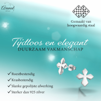Stalen Oorbellen met kruisje &acirc;&euro;&ldquo; Zilverkleur &acirc;&euro;&ldquo; 12x11mm -