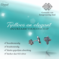 Stalen Oorbellen met kruisje &acirc;&euro;&ldquo; Zilverkleur &acirc;&euro;&ldquo; 8x7mm -