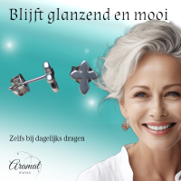 Stalen Oorbellen met kruisje &acirc;&euro;&ldquo; Zilverkleur &acirc;&euro;&ldquo; 8x7mm -