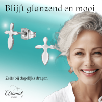 Stalen Kruisjes Oorbellen &acirc;&euro;&ldquo; Zilverkleur &acirc;&euro;&ldquo; 10x7mm -