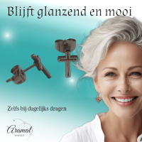 Stalen Kruisjes Oorbellen &acirc;&euro;&ldquo; Zilverkleurig &acirc;&euro;&ldquo; 10x6mm -