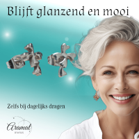 Stalen Kruisjes Oorbellen Zilverkleurig &acirc;&euro;&ldquo; 10x7mm -