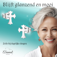 Stalen Kruisjes Oorbellen Zilverkleur 9x6mm -