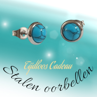 Stalen ronde oorbellen blauw gemarmerd 8mm -