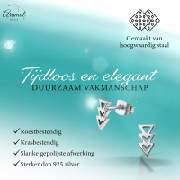 Stalen Pijltjes Oorbellen Zilverkleur 9x5mm -