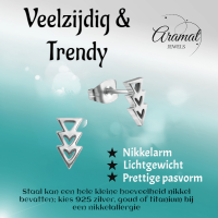 Stalen Pijltjes Oorbellen Zilverkleur 9x5mm -