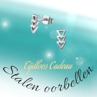 Stalen Pijltjes Oorbellen Zilverkleur 9x5mm -