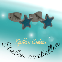 Zilverkleurige Ster Oorbellen Blauw Glitter -