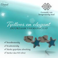 Zilverkleurige Ster Oorbellen Blauw Glitter -