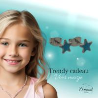 Zilverkleurige Ster Oorbellen Blauw Glitter -
