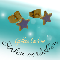 Goudkleurige Ster Oorbellen met Lila Glitters -