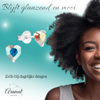 Zilveren Hartjes Oorstekers AB 5 mm -