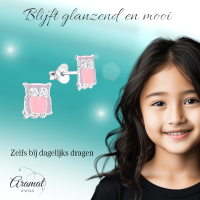 Zilveren Uiltjes Oorbellen &acirc;&euro;&ldquo; Lila emaille - Kristal -