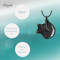 Ashanger Ster en Maan - Zwart RVS met Abalone - Heren
