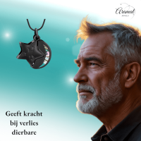 Ashanger Ster en Maan - Zwart RVS met Abalone - Heren