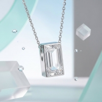 Mini Ashanger Rechthoek met Zirkonia Zilverkleurig &acirc;&euro;&ldquo; 11x6mm Subtiel Assieraad - U