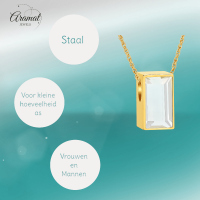 Kleine Ashanger Rechthoek met Zirkonia Goudkleurig &acirc;&euro;&ldquo; 11x6mm Mini Assieraad - Unis