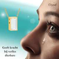 Kleine Ashanger Rechthoek met Zirkonia Goudkleurig &acirc;&euro;&ldquo; 11x6mm Mini Assieraad - Unis