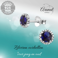Zilveren Paarse Abalone Oorbellen 5 mm -