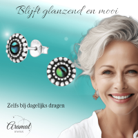 Zilveren Abalone Ronde Oorbellen 8 mm -