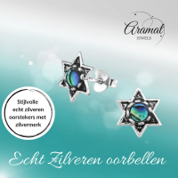 Zilveren Abalone Steroorbellen 10x9 mm - Dames
