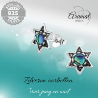Zilveren Abalone Steroorbellen 10x9 mm - Dames