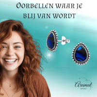 Zilveren Abalone Oorbellen 12x9 mm -