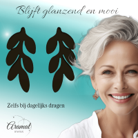 Zwarte Blaadjes Oorbellen RVS - 12x6 mm -