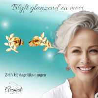 Goudkleurige blad oorstuds 10&Atilde;&mdash;5 mm -