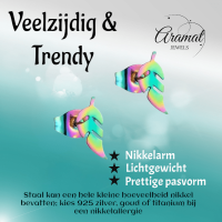 Bladvormige Oorbellen &acirc;&euro;&ldquo; RVS &acirc;&euro;&ldquo; 5x13 mm &acirc;&euro;&ldquo; Uni