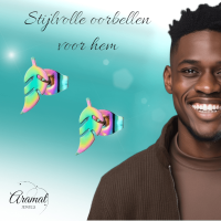 Bladvormige Oorbellen &acirc;&euro;&ldquo; RVS &acirc;&euro;&ldquo; 5x13 mm &acirc;&euro;&ldquo; Uni