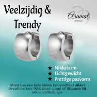 kleine Zilverkleurige stalen oorringen 13 mm -