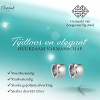 kleine Zilverkleurige stalen oorringen 13 mm -