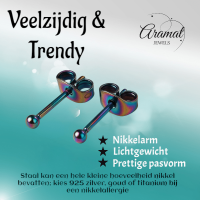 Regenboogkleurige mini oorstuds 2 mm -