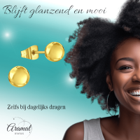 RVS Bolletjes Oorbellen Goudkleur 6mm - Tijdloze Ronde Oorstekers -