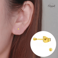 Bolletjes oorbellen &acirc;&euro;&ldquo; Goudkleur &acirc;&euro;&ldquo; 2mm -