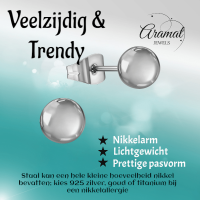 Bolletjes oorbellen &acirc;&euro;&ldquo; zilverkleur &acirc;&euro;&ldquo; 6mm -