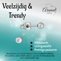 Bolletjes oorbellen &acirc;&euro;&ldquo; zilverkleur &acirc;&euro;&ldquo; 3mm -