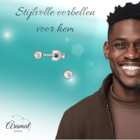 Bolletjes oorbellen &acirc;&euro;&ldquo; zilverkleur &acirc;&euro;&ldquo; 3mm -