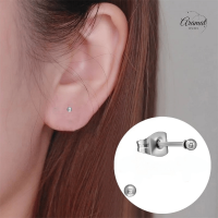 Bolletjes oorbellen &acirc;&euro;&ldquo; zilverkleur &acirc;&euro;&ldquo; 2mm -