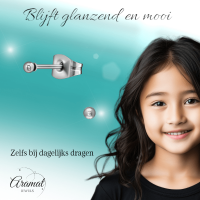 Bolletjes oorbellen &acirc;&euro;&ldquo; zilverkleur &acirc;&euro;&ldquo; 2mm -