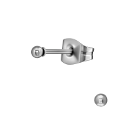 Bolletjes oorbellen &acirc;&euro;&ldquo; zilverkleur &acirc;&euro;&ldquo; 2mm -