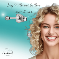 Bolletjes oorbellen &acirc;&euro;&ldquo; zilverkleur &acirc;&euro;&ldquo; 2mm -