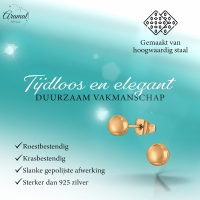 Bolletjes oorbellen &acirc;&euro;&ldquo; ros&Atilde;&copy;kleur &acirc;&euro;&ldquo; 5mm -