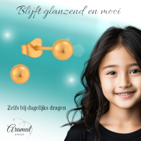 Bolletjes oorbellen &acirc;&euro;&ldquo; ros&Atilde;&copy;kleur &acirc;&euro;&ldquo; 4mm -